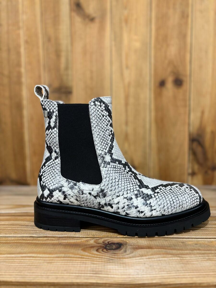 OTIS PYTHON